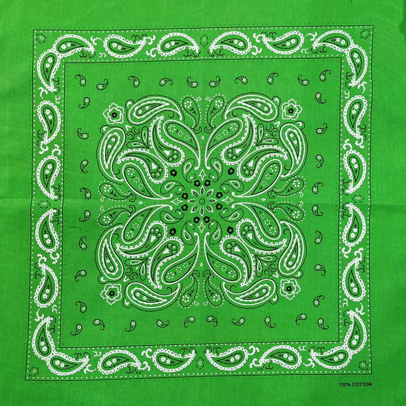 H666c5950be8041db88e43d2353254646w